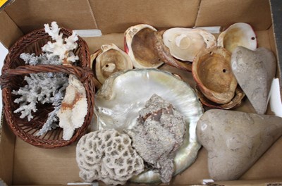 Lot 87 - A collection of shell and coral