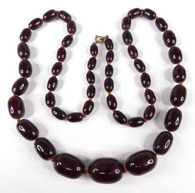 Lot 424 - A cherry amber necklace, arranged as 49...