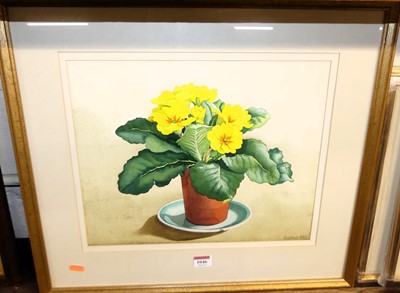 Lot 1046 - Christopher Ryland - Polyanthus in a chipped...