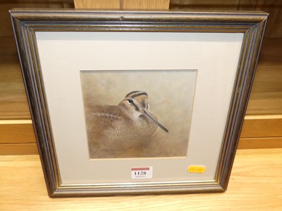 Lot 1128 - Roger Buxton - Study of a woodcock,...