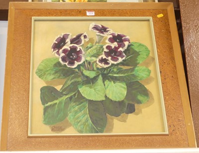 Lot 1018 - George Taylor* (1914-1996) - Gloxinia, acrylic...