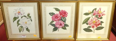 Lot 1110 - Leslie C*** - a set of three botanical studies,...