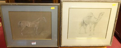 Lot 1111 - John Duvall (1815-1892) - Study of a horse,...