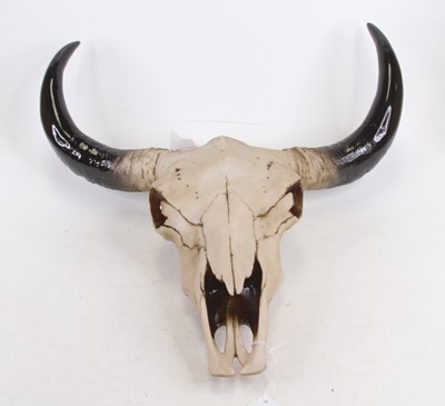 Lot 501 - A resin oxen skull, with mountings