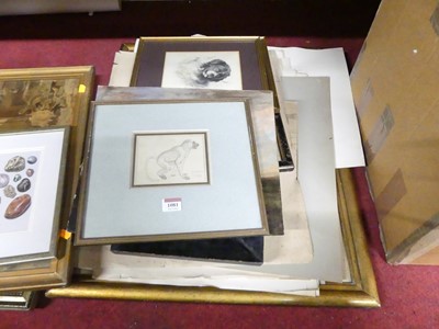 Lot 1081 - Assorted pictures and prints to include 19th...