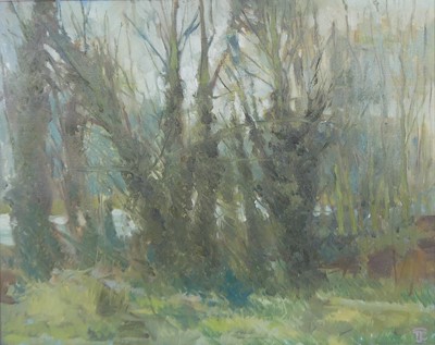 Lot 245 - Tom Coates (1941-2023) - Woodland Trees, oil...