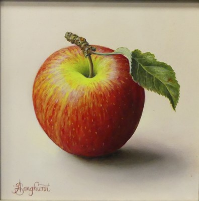 Lot 195 - *Anne Songhurst (b.1946) - Jonagold apple, oil...