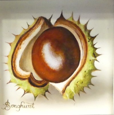 Lot 194 - *Anne Songhurst (b.1946) - Horse chestnut, oil...