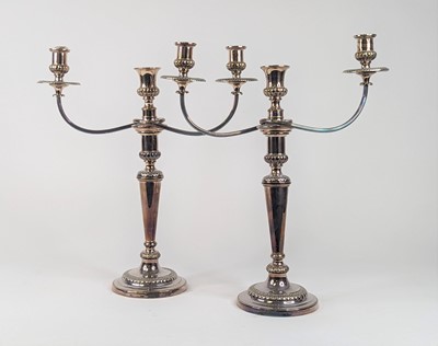Lot 2 - A pair of late 19th century Old Sheffield...
