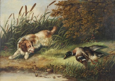 Lot 1448 - Follower of George Armfield - Spaniel and duck...