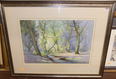 Lot 1019 - FB Jones - A Woodland Stream, watercolour,...