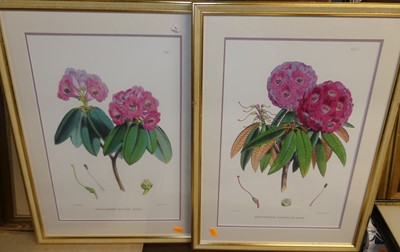 Lot 1047 - A set of four gilt framed reproduction...