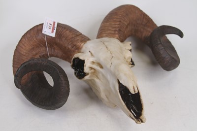 Lot 539 - A resin model of a ram's skull, w.40cm