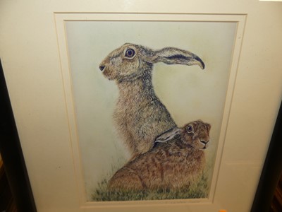 Lot 1065 - Peter Currington - Hare study, pencil and...