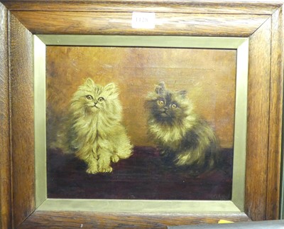 Lot 1128 - *M.S. Hunt - Pair of cats, oil on canvas,...