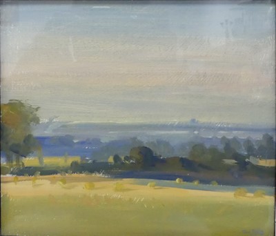 Lot 267 - Tim Dolby (b.1958) - Clandon Downs near...