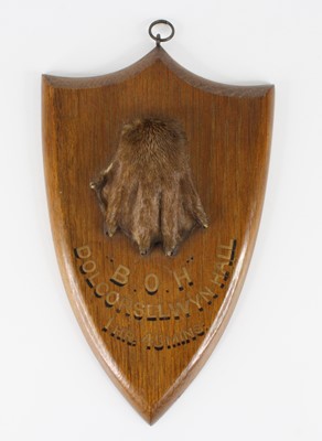 Lot 1408 - An early 20th century Otter (Lutra lutra) pad,...