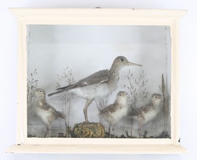 Lot 1395 - An early 20th century taxidermy Green...