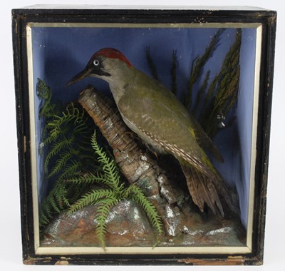 Lot 1388 - A late Victorian taxidermy Green woodpecker...