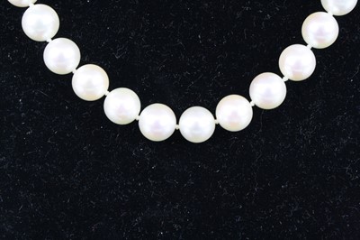 Lot 1260 - A single row necklace of forty-four 8.4 to...