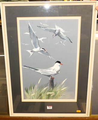 Lot 1009 - Mary Elliot Lacey - Tern in flight and Upon a...