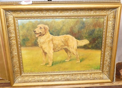 Lot 1033 - J Perring - Study of a Golden Retriever in a...