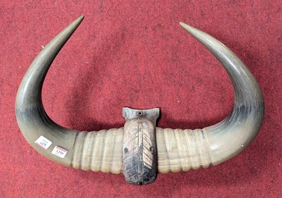 Lot 637 - A pair of wall-mounted cow horns