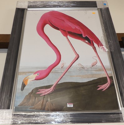 Lot 1025 - After John James Audubon - Pink flamingo,...