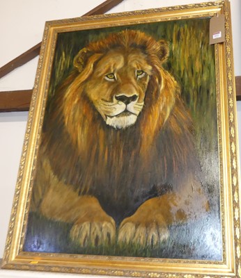 Lot 1032 - Catex - Lion study 2001, oil on panel, signed...