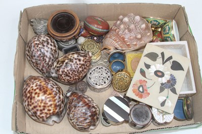 Lot 508 - Miscellaneous items, to include cowrie shells,...