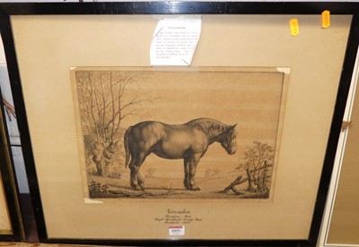 Lot 1055 - William E Morgan - Vivandiere, Champion Mare...