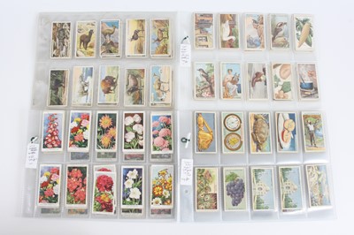 Lot 664 - A collection of assorted cigarette cards in...