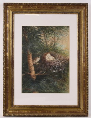 Lot 3534 - Peter Spicer (1839-1934), Kestrel and nesting...