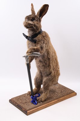 Lot 3604 - Attributed to John Burton, a taxidermy...