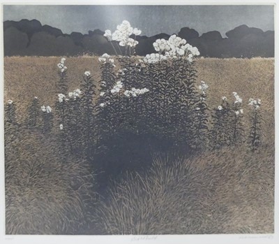 Lot 193 - Phil Greenwood (b.1943) - Night Field, etching...