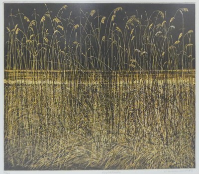 Lot 192 - Phil Greenwood (b.1943) - Night Reeds, etching...