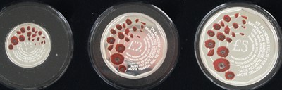 Lot 3005 - Great Britain, The 2018 Remembrance Day Silver...