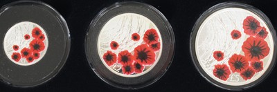 Lot 3008 - Great Britain, The 2019 Remembrance Day Silver...