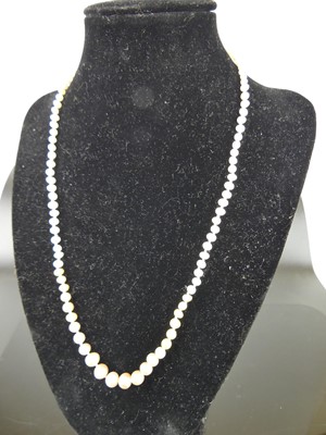 Lot 359 - A graduated freshwater pearl single string...