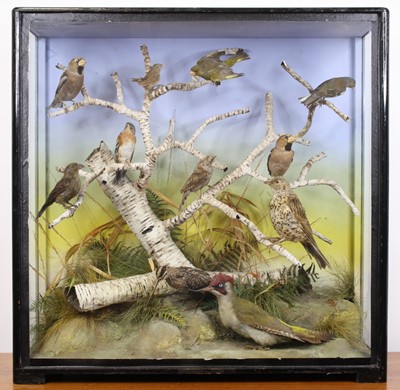 Lot 3660 - A Victorian taxidermy group of eleven birds to...