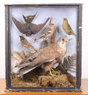 Lot 3664 - A Victorian taxidermy group of five birds to...