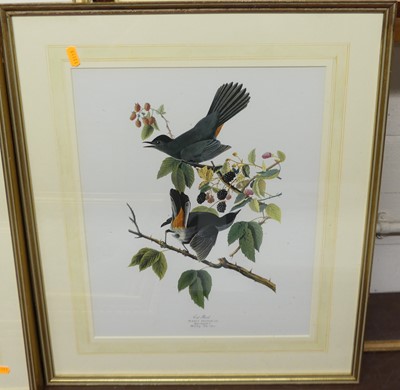 Lot 1037 - A set of eight Birds of Prey prints, each...