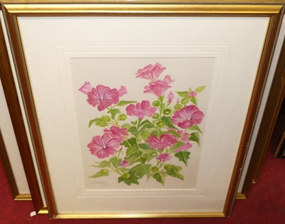 Lot 1130 - Serena Fass - Botanical study, watercolour;...