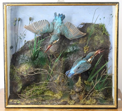 Lot 17 - A brace of Victorian taxidermy Kingfishers...