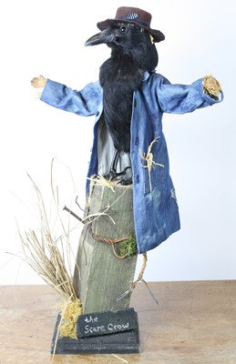 Lot 3671 - An anthromorphic taxidermy Scare Crow Carrion...