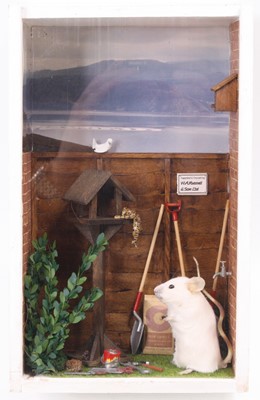 Lot 174 - An anthropomorphic taxidermy White mouse (Mus...