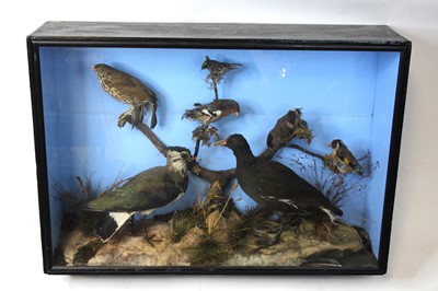 Lot 3622 - An early 20th century taxidermy group of birds...