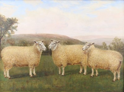 Lot 2399 - W. Henderson - Sheep in a landscape, oil on...