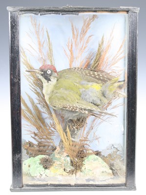 Lot 3620 - A late Victorian taxidermy Green woodpecker...