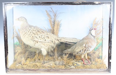 Lot 3645 - A Victorian taxidermy Pheasant (Phasianus...